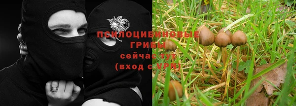 альфа пвп Надым